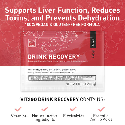 Vit2go Drink Recovery 100g - 10 Portions