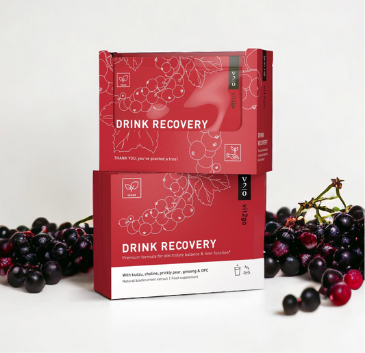 Vit2go Drink Recovery 100g - 10 Portions